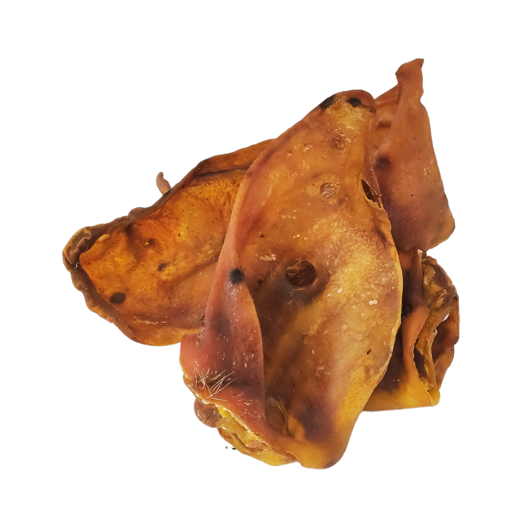 Pigs Ear - Large